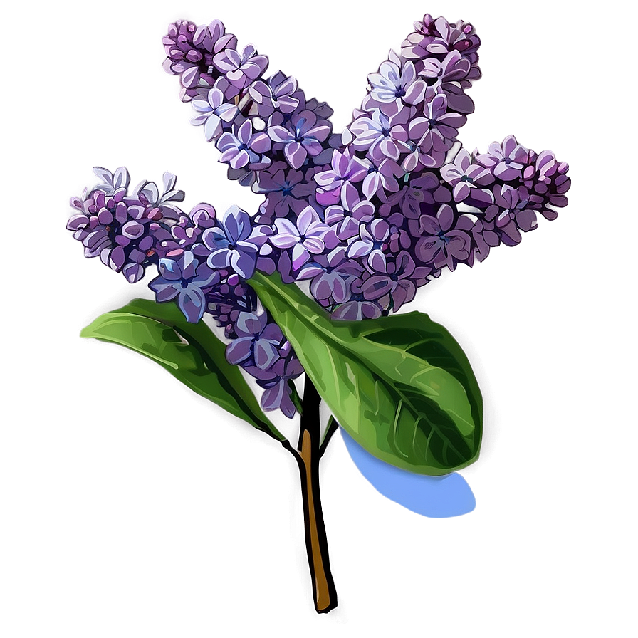 Spring Lilac Png Tcu88