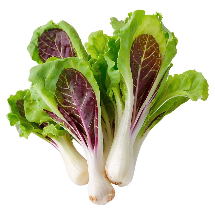 Spring Mix Lettuce Png 66