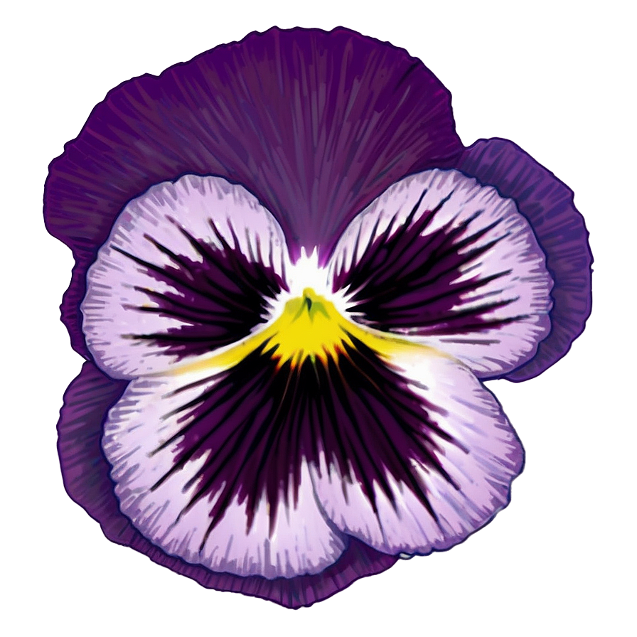 Spring Pansy PNG eub PNG with transparent background
