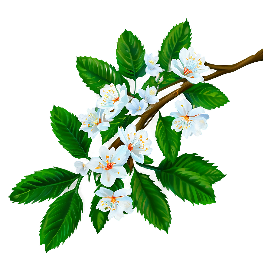 Spring Tree Branch Png 45