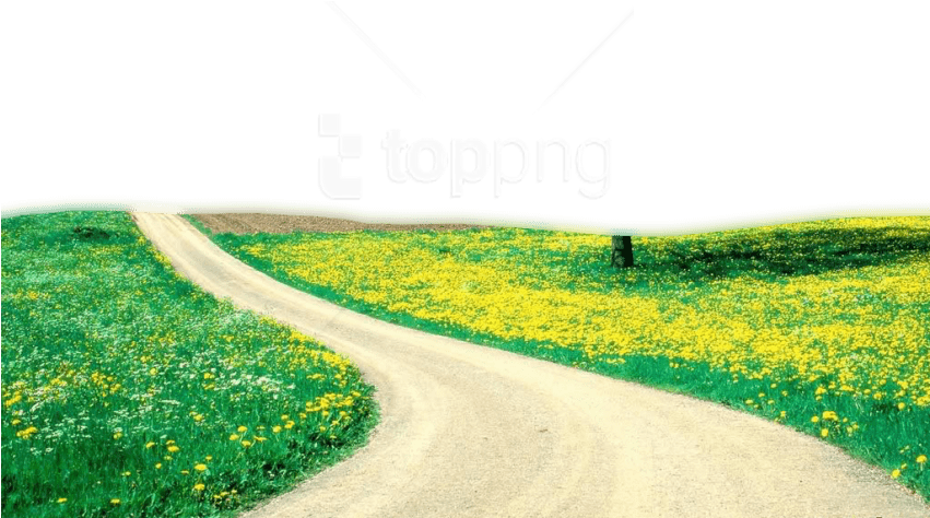 Springtime Country Road Floral Landscape PNG with transparent background