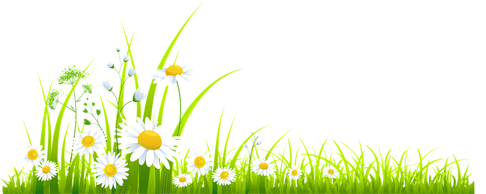 Spring Meadow PNG Pic PNG with transparent background