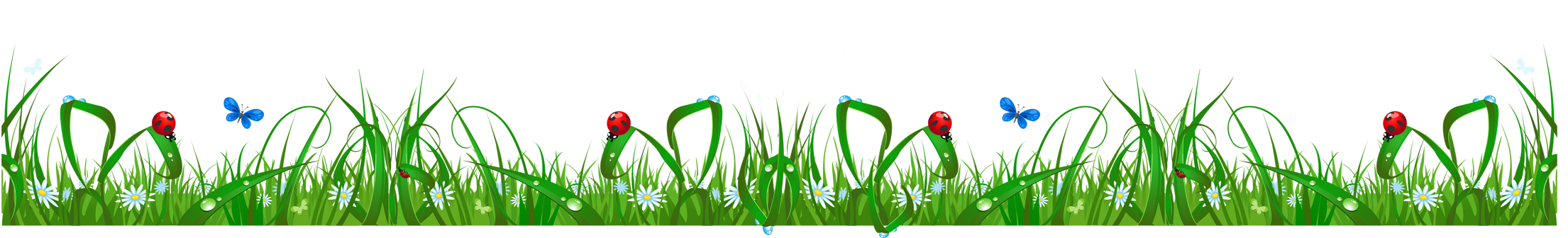 Spring Meadow PNG Transparent Image PNG with transparent background