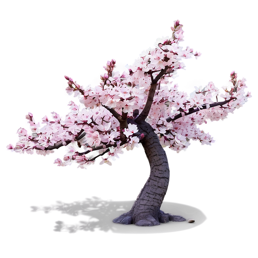 Springtime Sakura Tree Scenery Png Llu