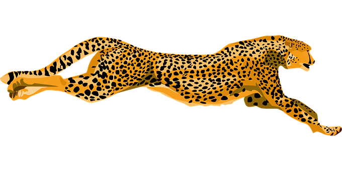 Sprinting Cheetah Illustration PNG with transparent background