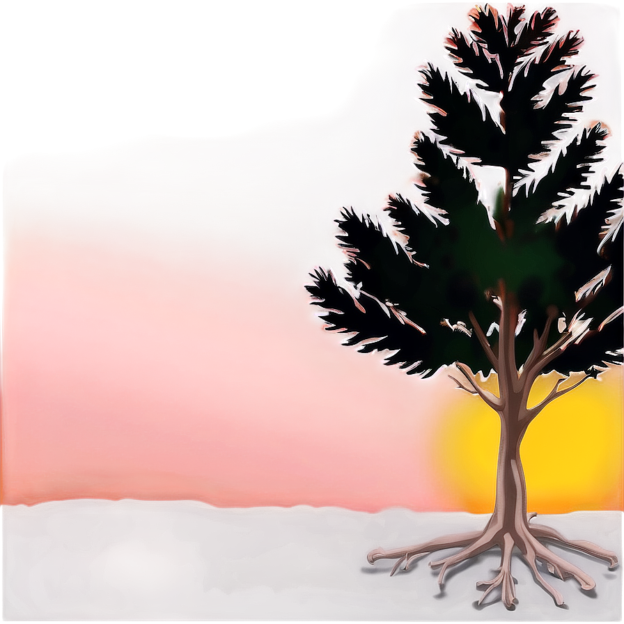 Spruce Tree In Fiery Sunset Png 06132024