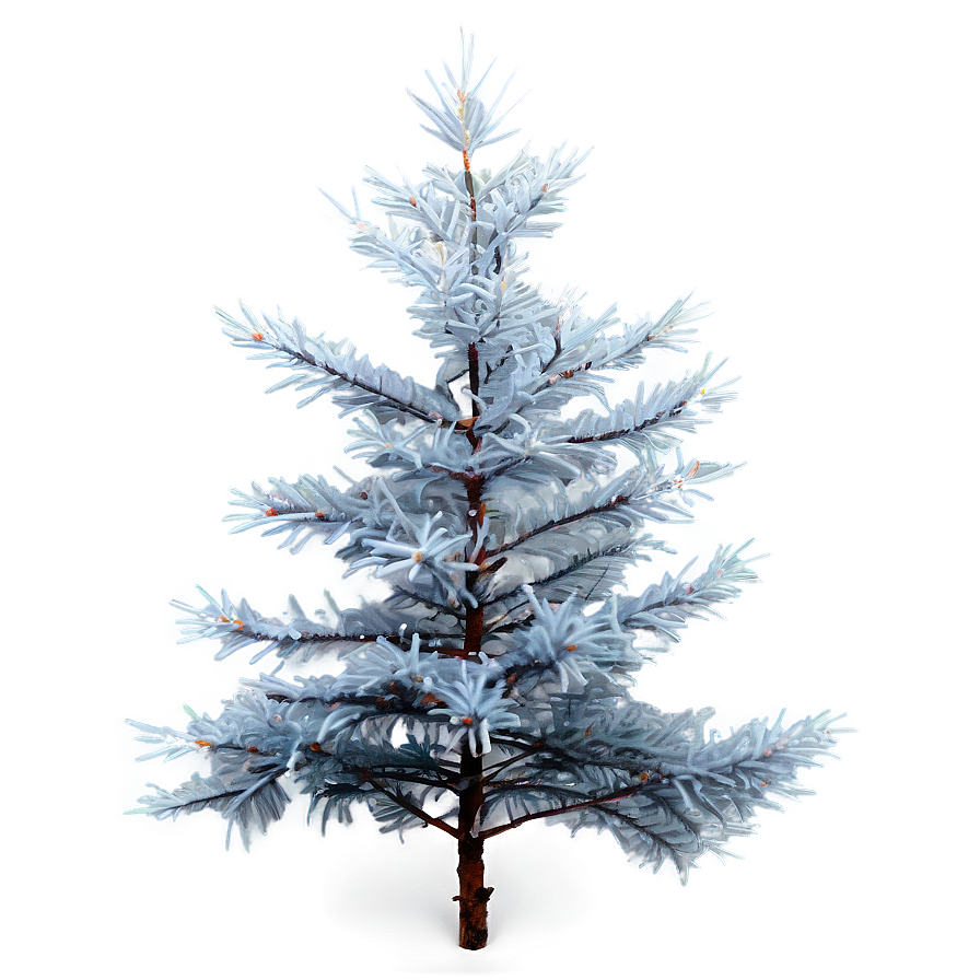 Spruce Tree In Foggy Weather Png 69