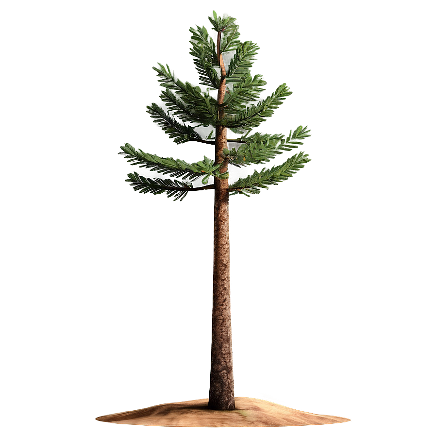 Spruce Tree In Mountainous Terrain Png 27