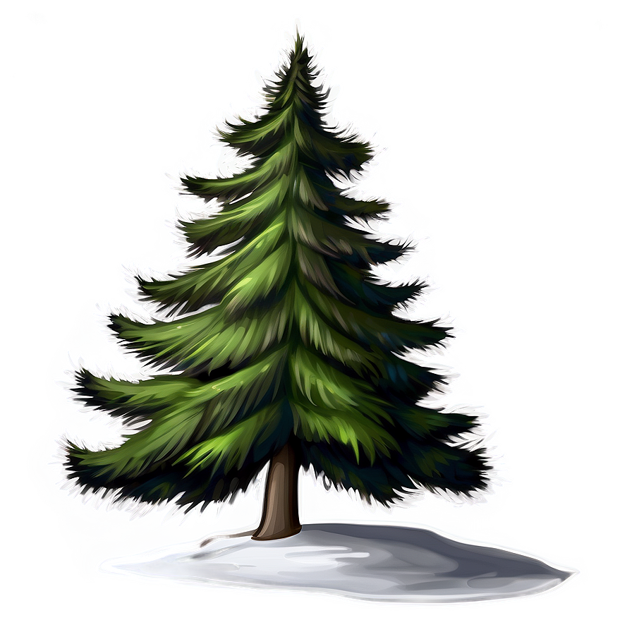 Spruce Tree Line Art Png 20