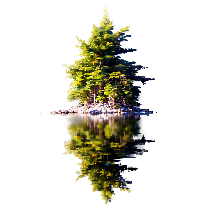 Spruce Tree Reflection In Lake Png 73