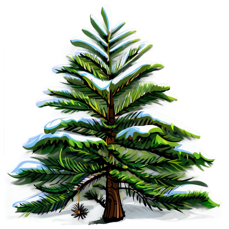 Spruce Tree Vector Outline Png 06132024