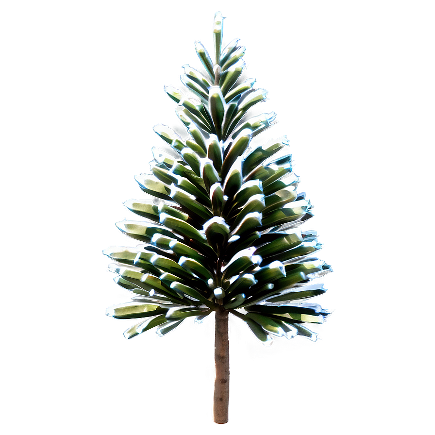 Spruce Tree With Cones Png Nik