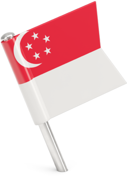 Square Flag Pin - Singapore Flag Cartoon Png, Transparent Png PNG with transparent background