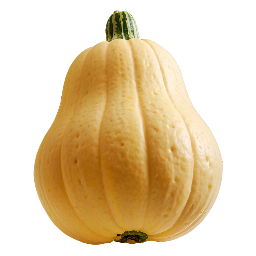 Squash B