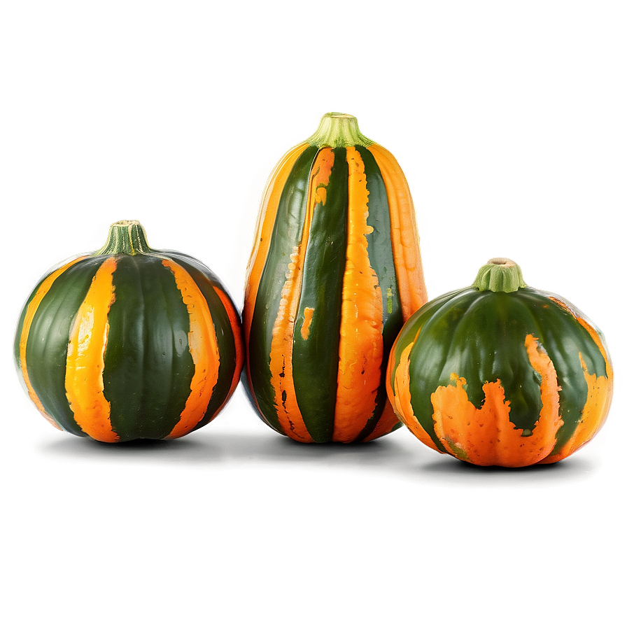 Squash Recipe Ingredient PNG 13 PNG with transparent background