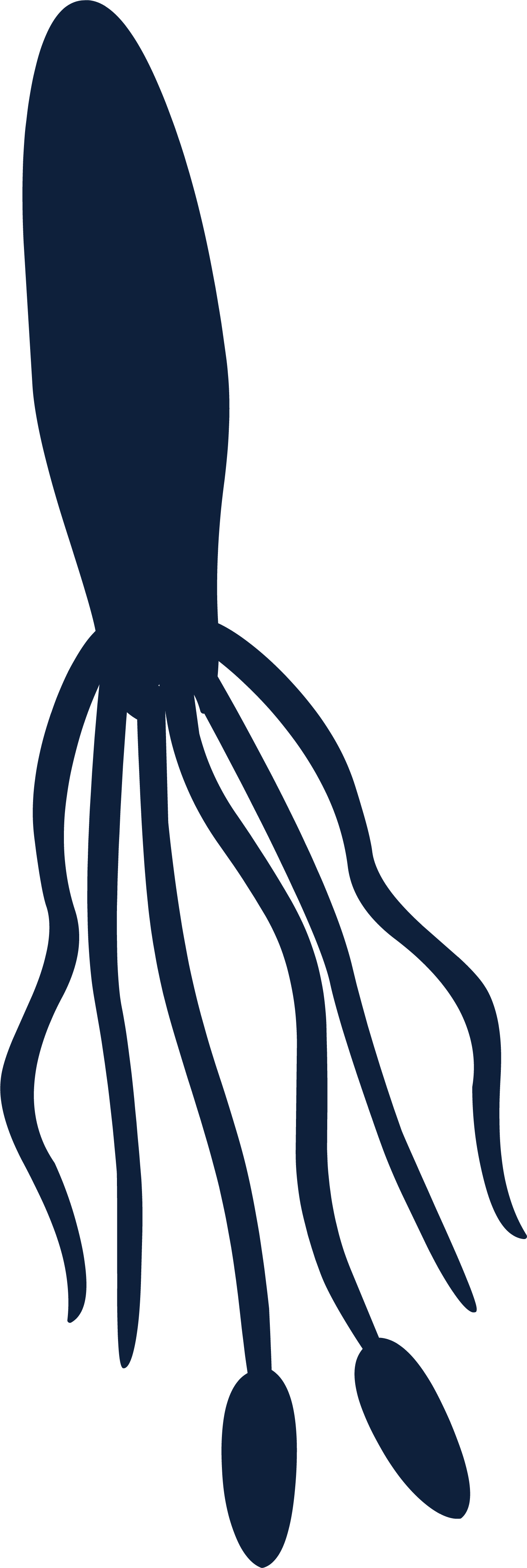 Squid Silhouette Graphic