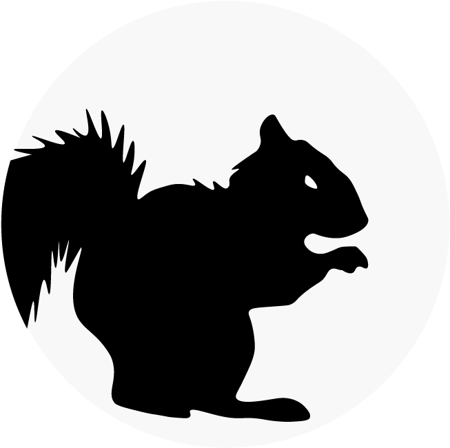 Squirrel Silhouette Graphic