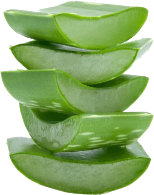 Stacked Aloe Vera Slices.png