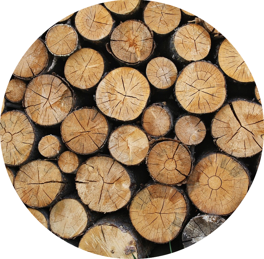 Stacked Logs Cross Section Texture PNG with transparent background