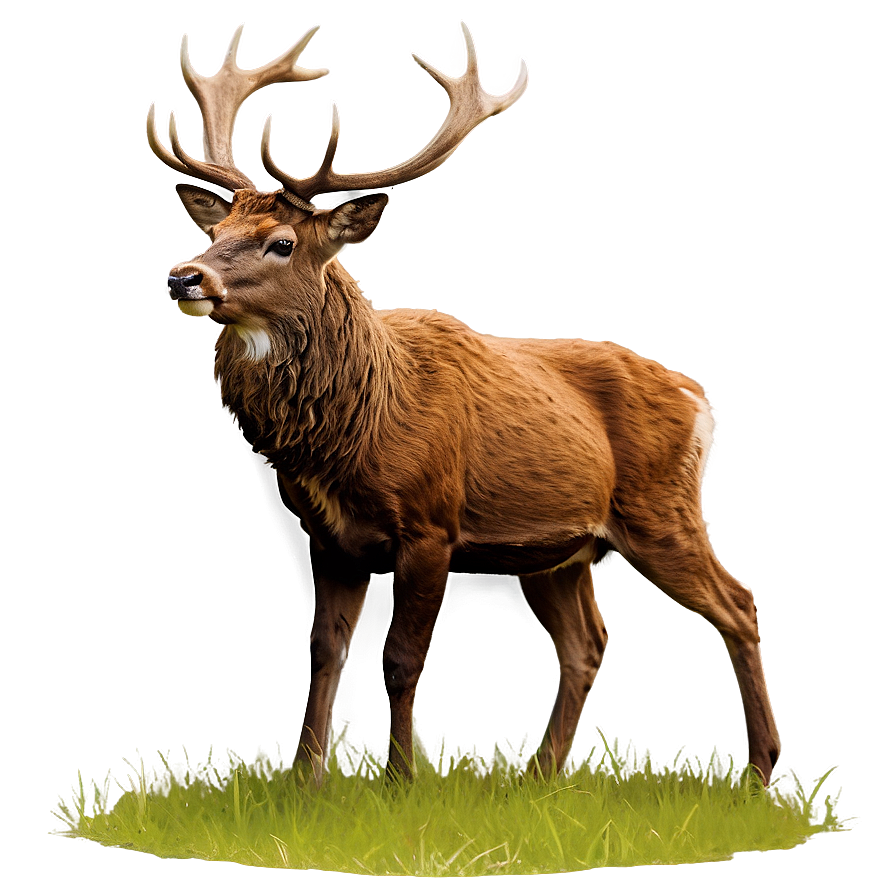 Stag And Nature Png Lve78