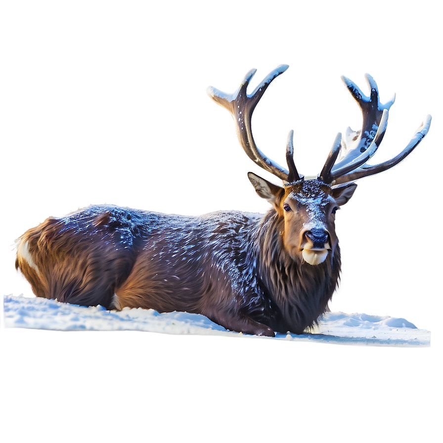 Stag In Snow Png 06292024