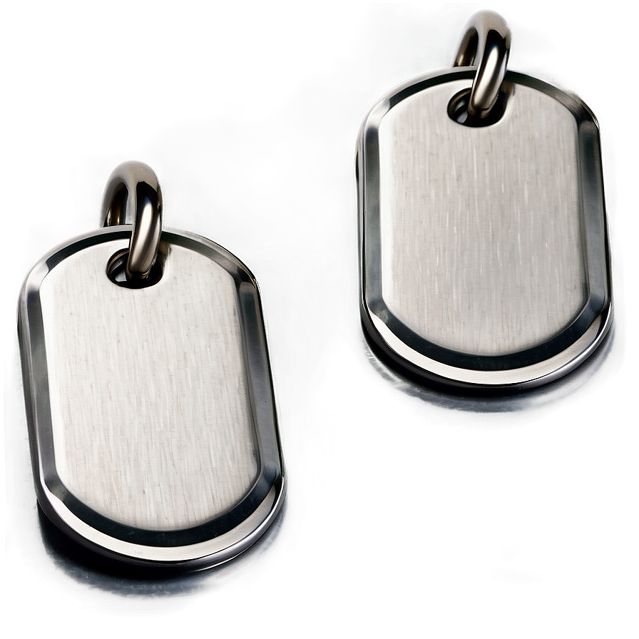 Stainless Steel Dog Tags Png 06212024