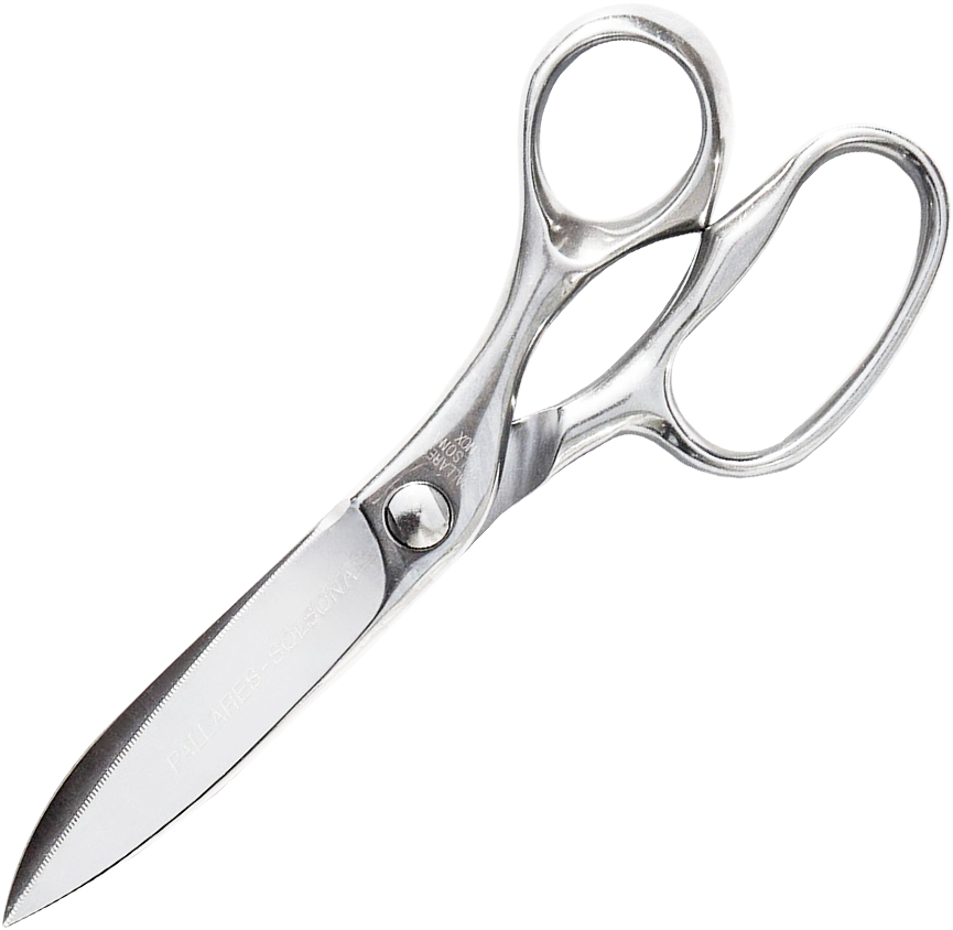 Stainless Steel Scissors Isolated