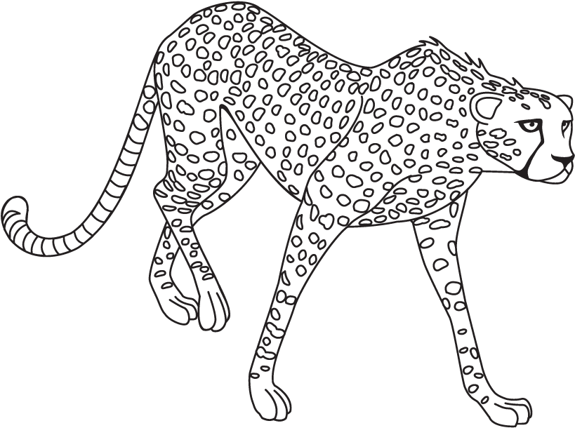 Transparent Jaguar Clipart - Clip Art Black And White Jaguar, HD Png Download PNG with transparent background