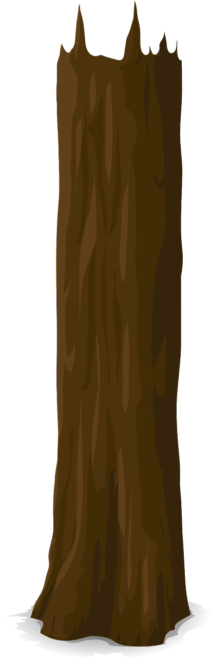 Standalone Tree Trunk Illustration