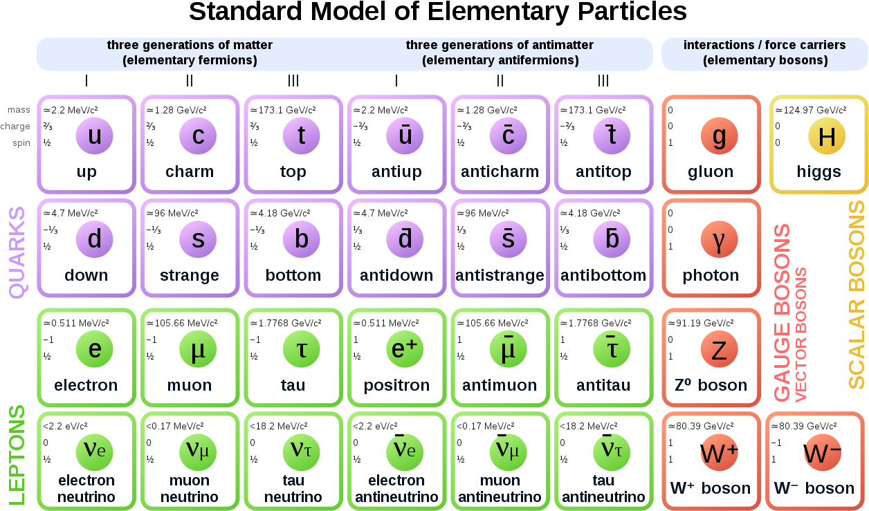 Standard Model Of Particle Physics, HD Png Download PNG with transparent background