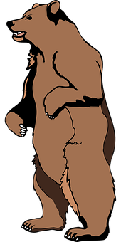 Standing Brown Bear Cartoon PNG with transparent background
