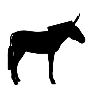 Standing Donkey Silhouette PNG with transparent background