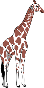 Standing Giraffe Illustration PNG with transparent background