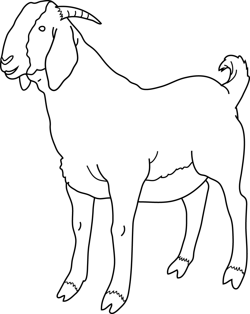 Standing Goat Line Art