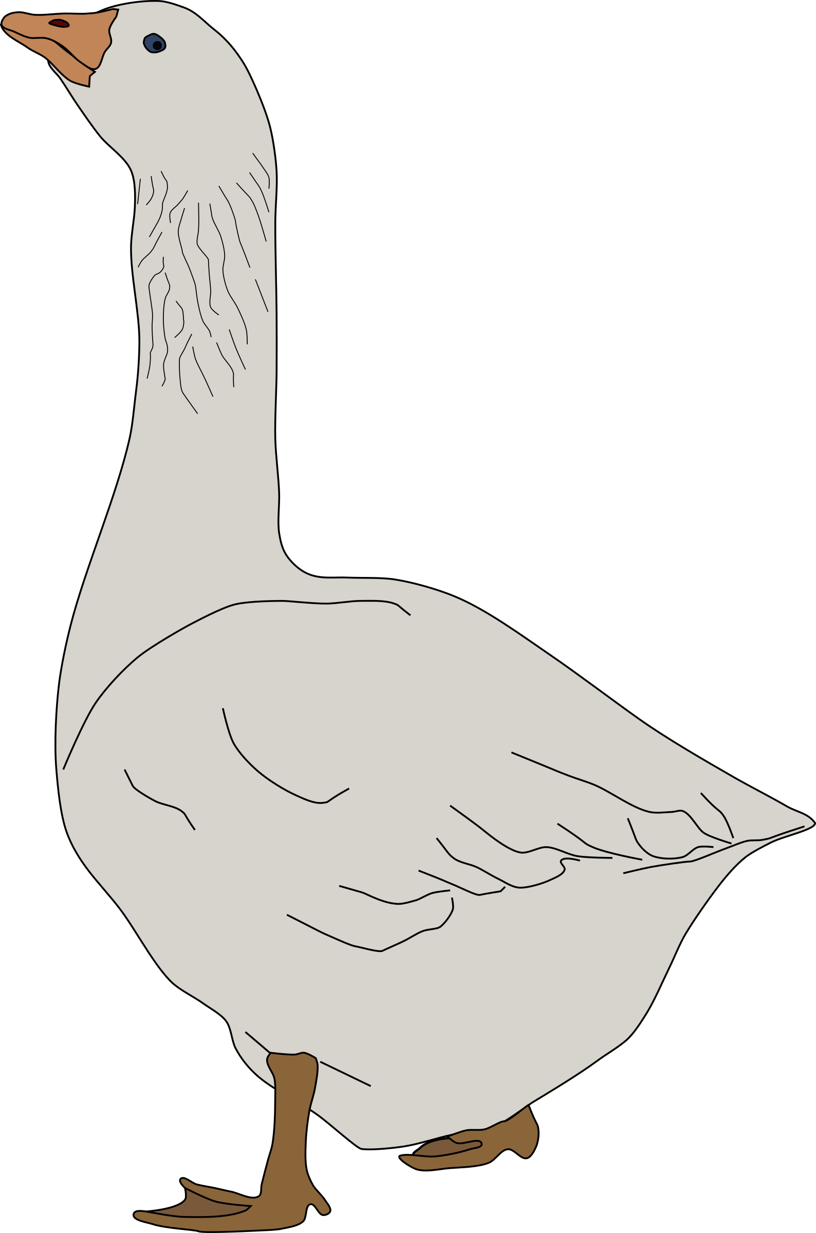 Standing Goose Illustration.png