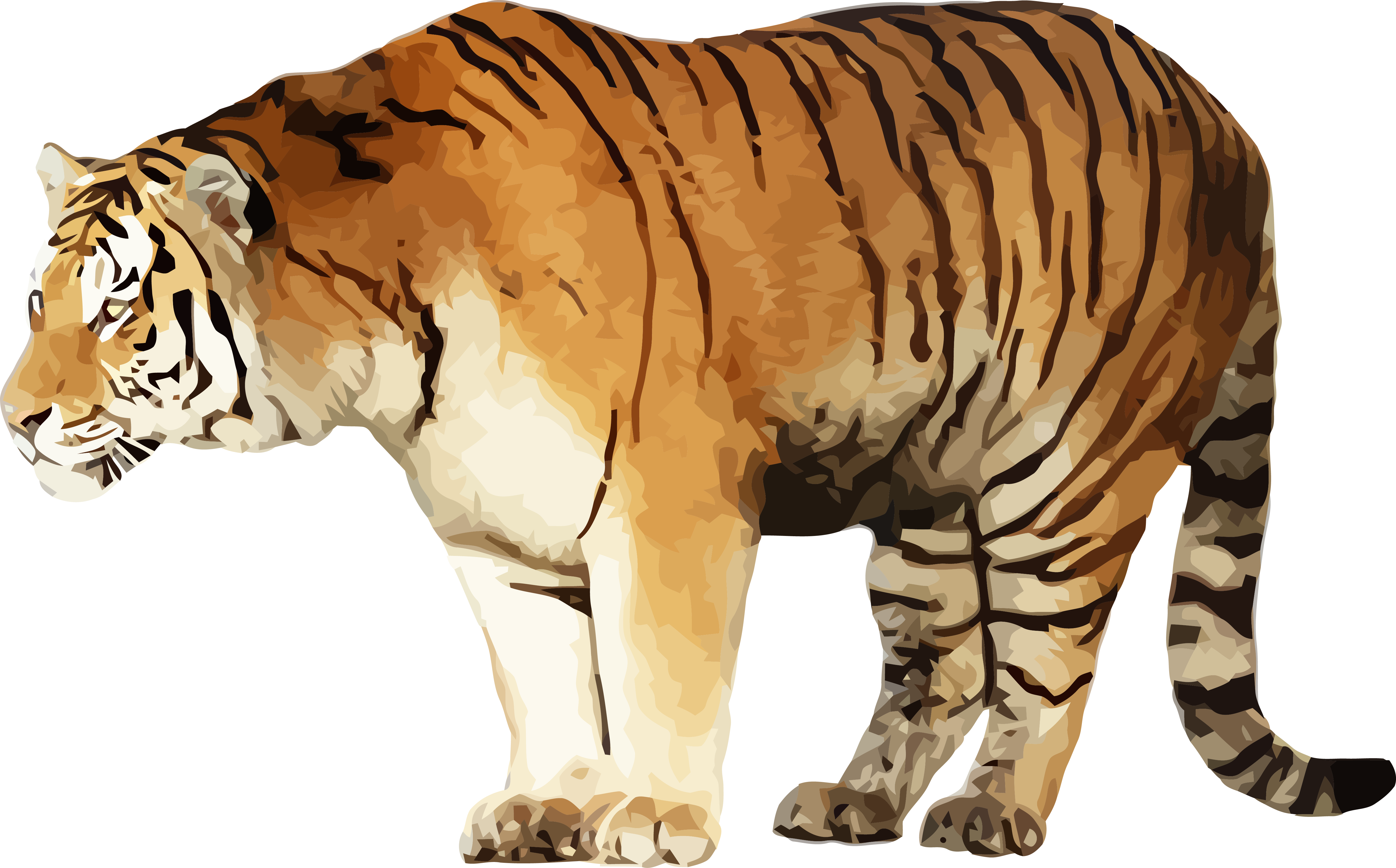 Standing Tiger Illustration