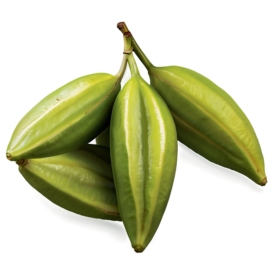 Star Fruit Detail Png Vda