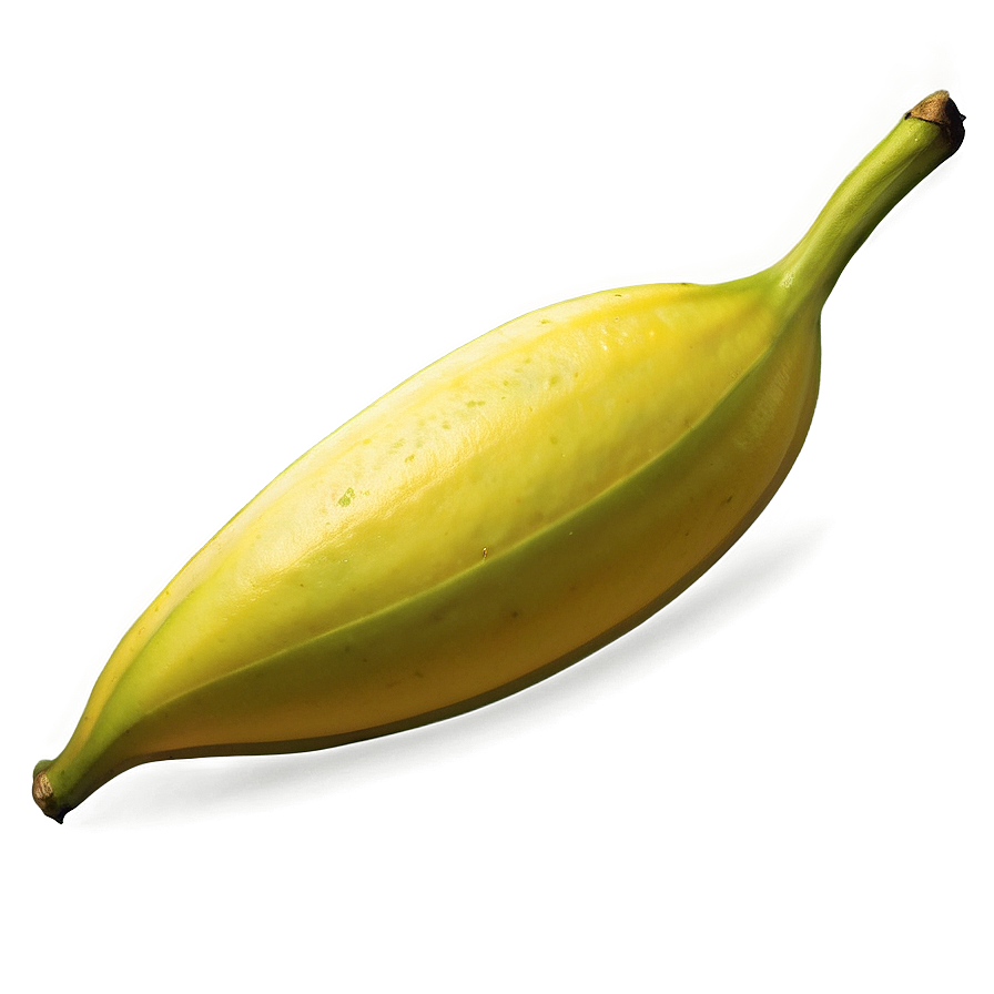 Star Fruit Icon Png Wjc11