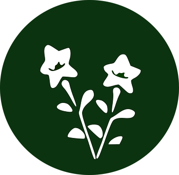 Star Shaped Flowers Icon PNG with transparent background