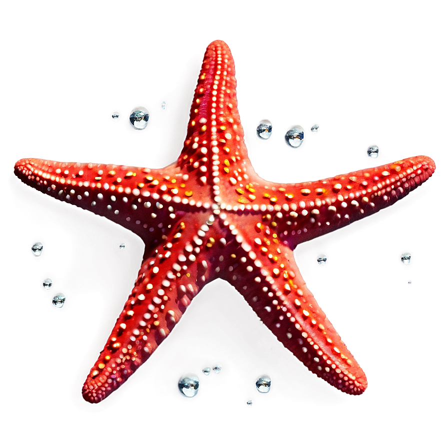 Starfish Clipart Png Uca