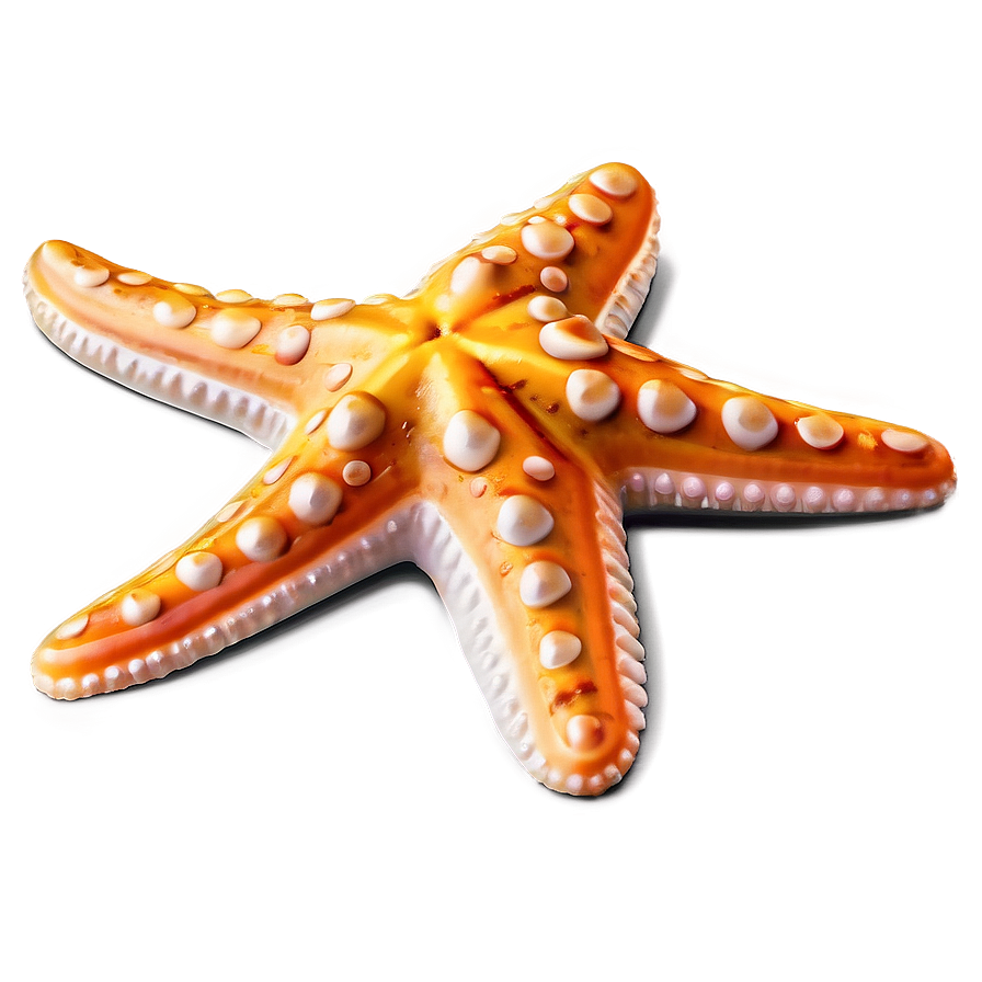 Starfish Emoji Png Qky89