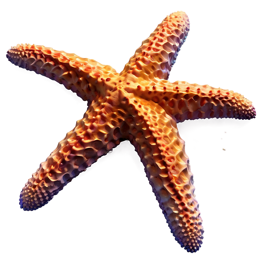 Starfish In Low Poly Png 05242024