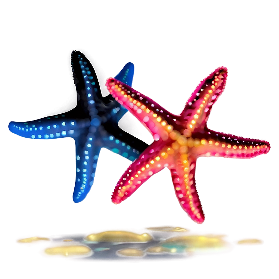 Starfish Outline Png Pmr