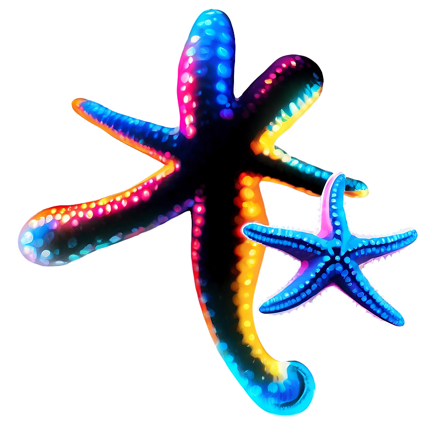 Starfish Silhouette Png 97