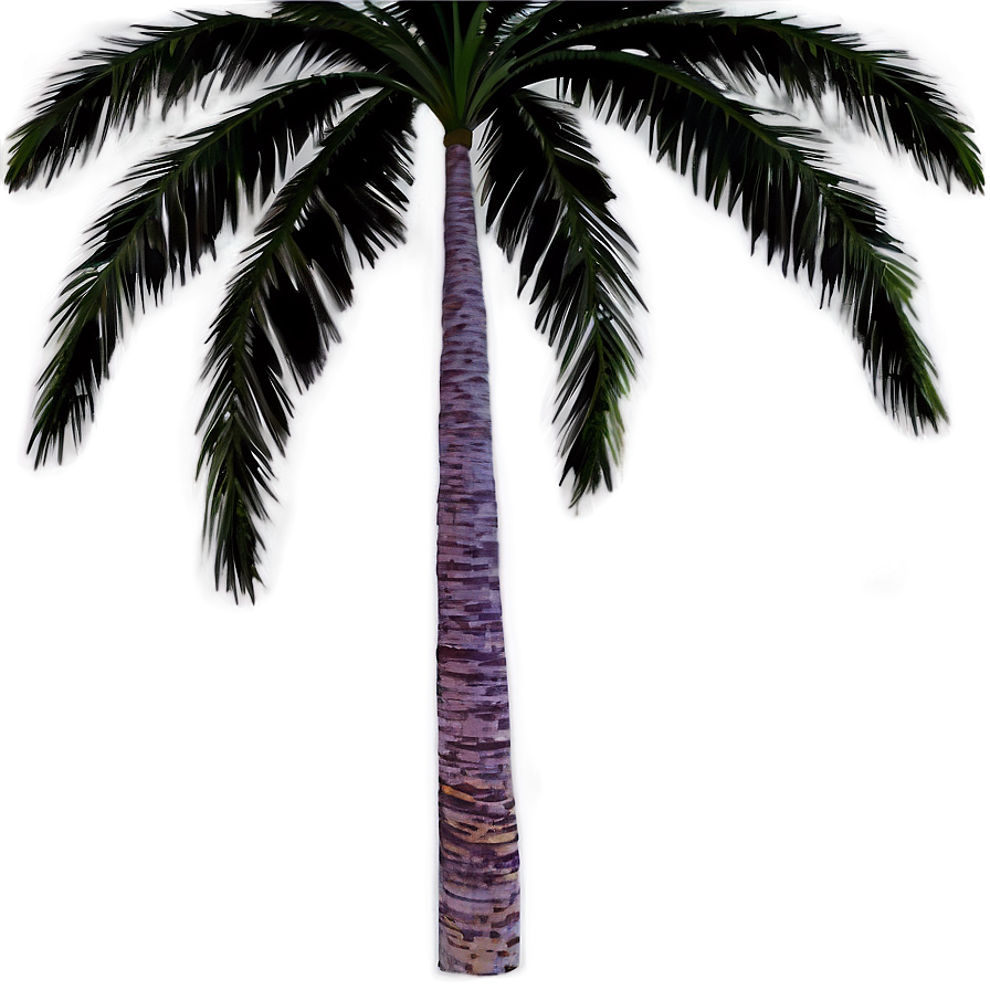 Starry Night Palms Png 06112024