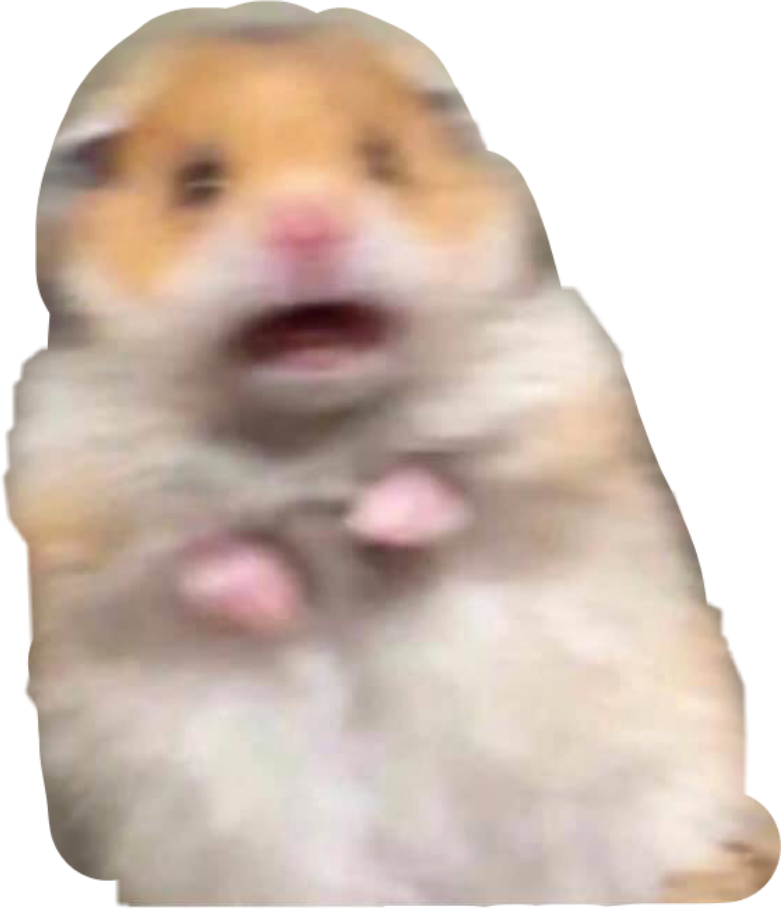 #hamster #meme #reaction #reactionmeme #freetoedit - Hamster With Peace Sign, HD Png Download PNG with transparent background