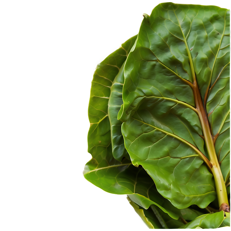 Steamed Collard Greens Png Dsi85