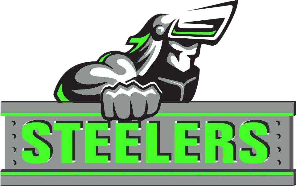 Steelers Bird Mascot Logo