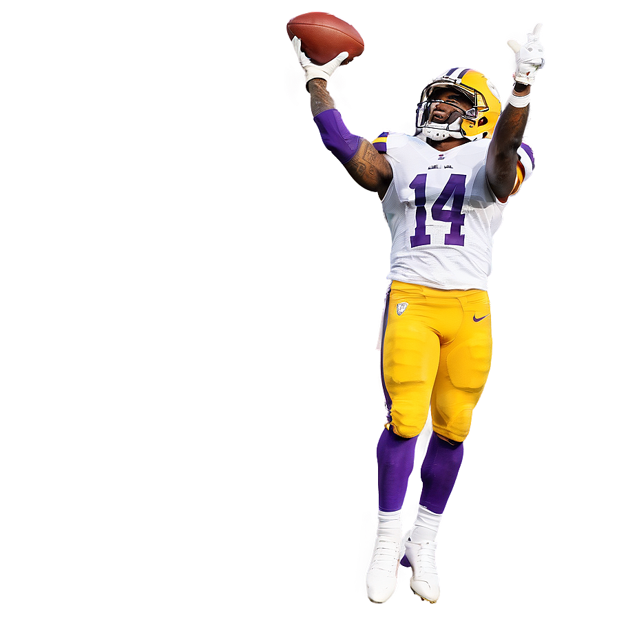 Stefon Diggs Game-winning Catch Png 14