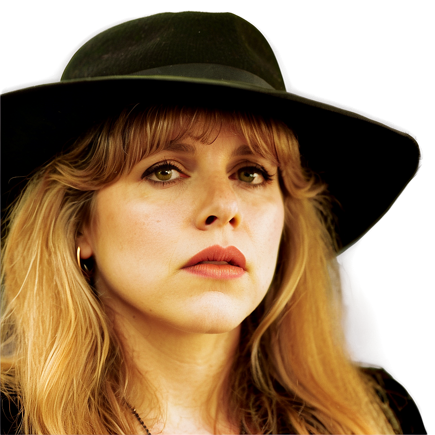 Stevie Nicks Personal Style Png 33